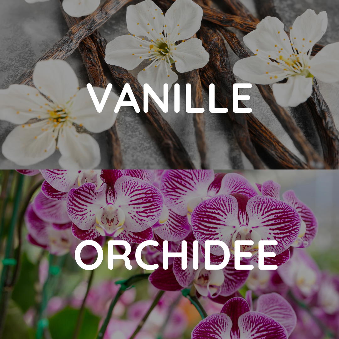 Raumduft: Vanilla Orchid