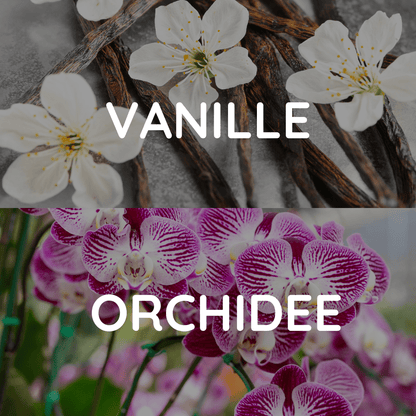 Raumduft: Vanilla Orchid - Liwina.de